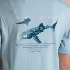 Kid's Ellis Short Sleeved T-Shirt | Sky Blue