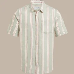 Men's Argino Short Sleeved Shirt | Lichen Green Stripe