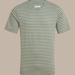 Men's Buffon Short Sleeved T-Shirt | Lichen Green Stripe